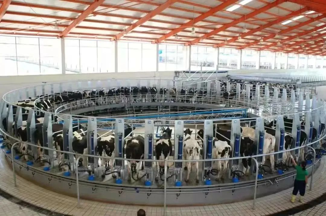 微信圖片_20230202161025.jpg 微信圖片_20230202161025.jpg