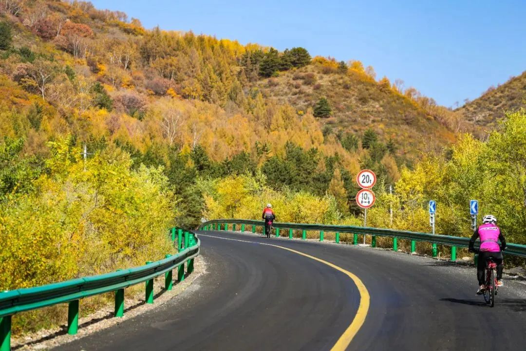 微信圖片_20230203103723.jpg 微信圖片_20230203103723.jpg